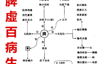 脾为气血生化之源，当体内气血不足的时候，也会出现胸闷症状。