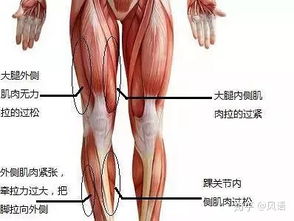 男人怎么瘦腿 