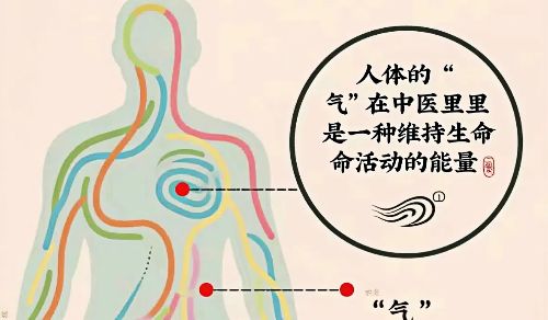人体的“气”在中医指的是什么，对人体作用？